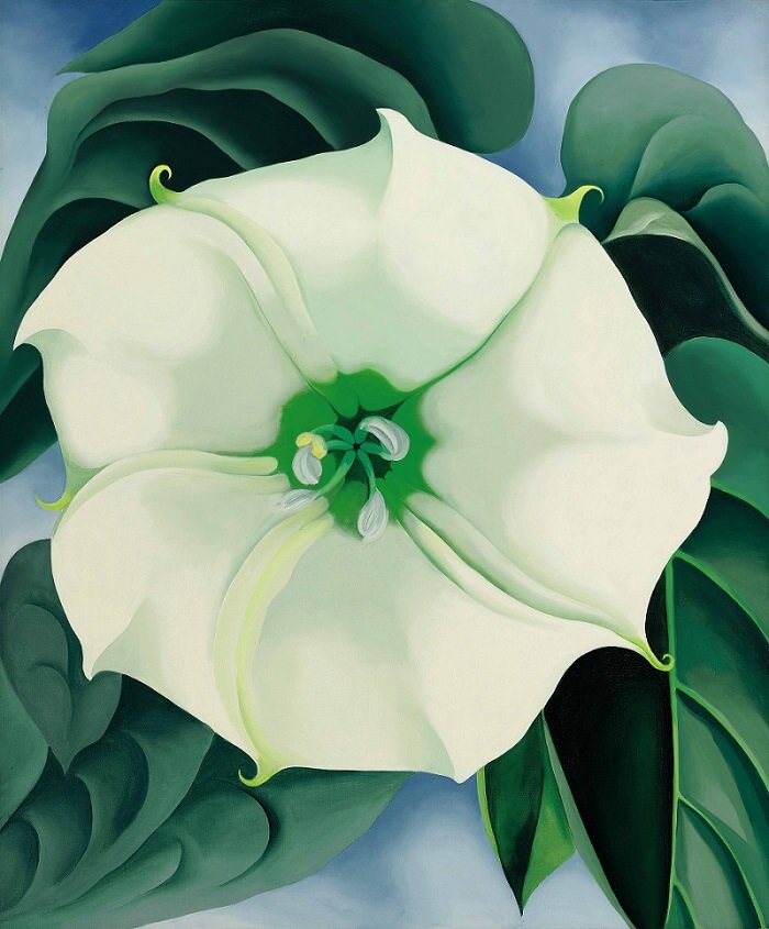 Georgia O’Keeffe: Csattanó maszlag / Fehér virág No.1.; a világ legdrágább nő által készített műalkotása – forrás: Sotheby’s