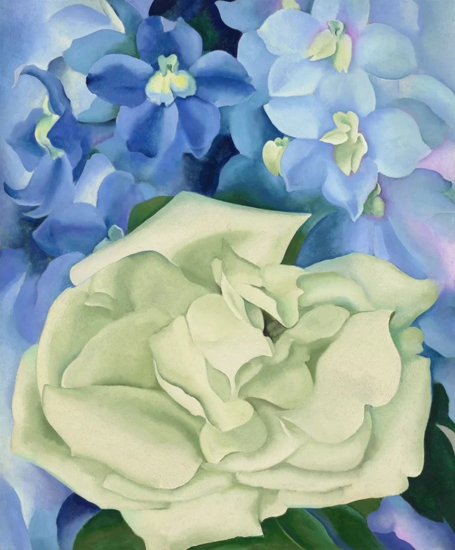 Georgia O’Keeffe: Fehér rózsa kerti szarkalábbal No. I. – forrás: Christie’s