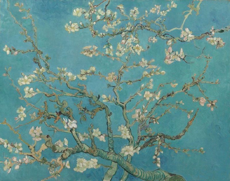Vincent van Gogh: Mandulavirágzás (1890) - forrás: Van Gogh Múzeum