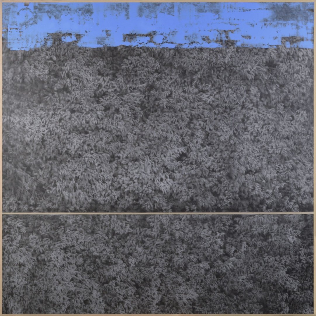 Giulia Dall’Olio: g19][252 d, 2022, szén, akril, papír, vászon, 148x148 cm - forrás: Várfok Galéria