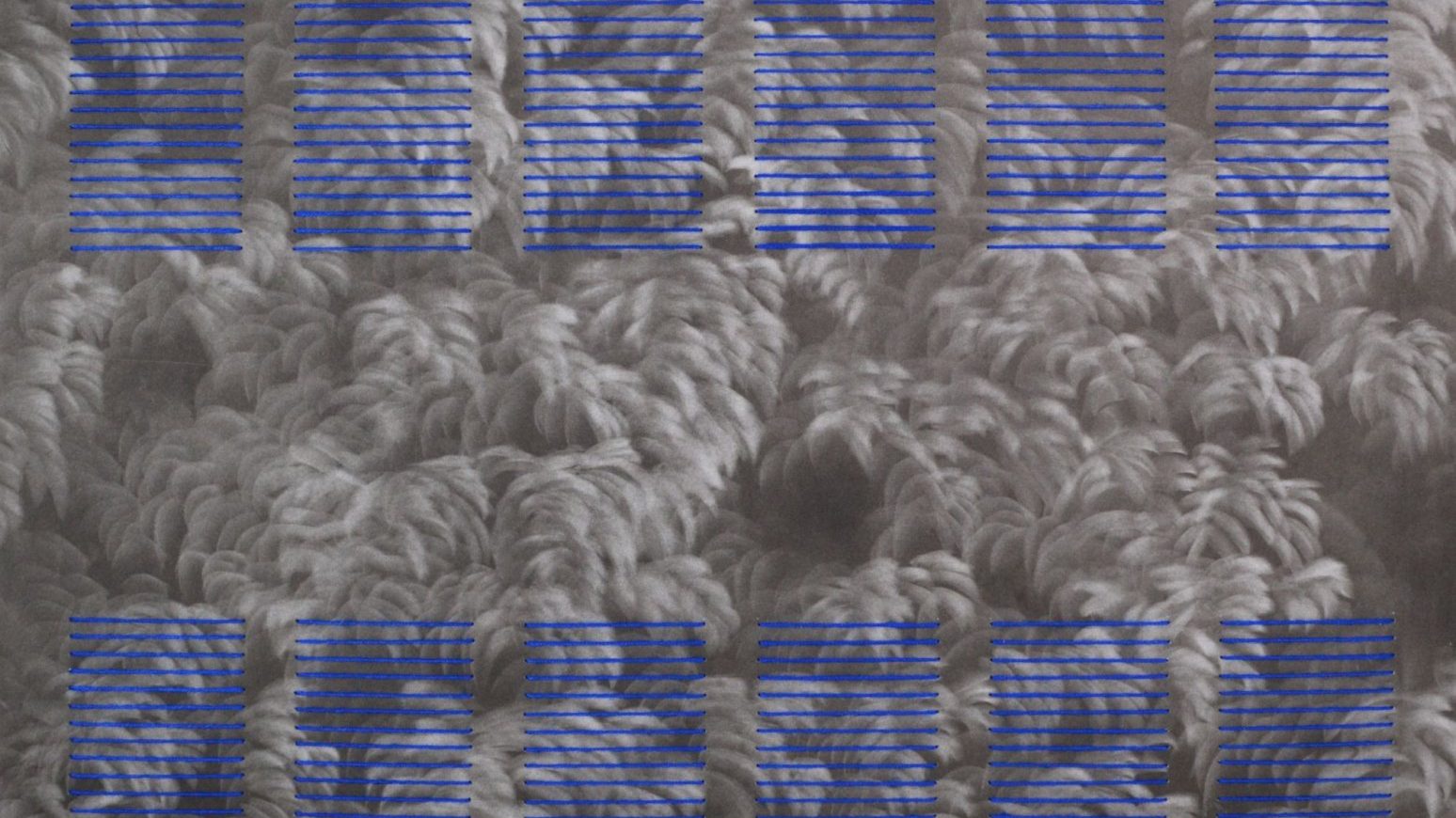 Giulia Dall'Olio: g19][308 d, 2023, szén, poliészter textil, kartonlemez, 60x84 cm, - forrás: Várfok Galéria