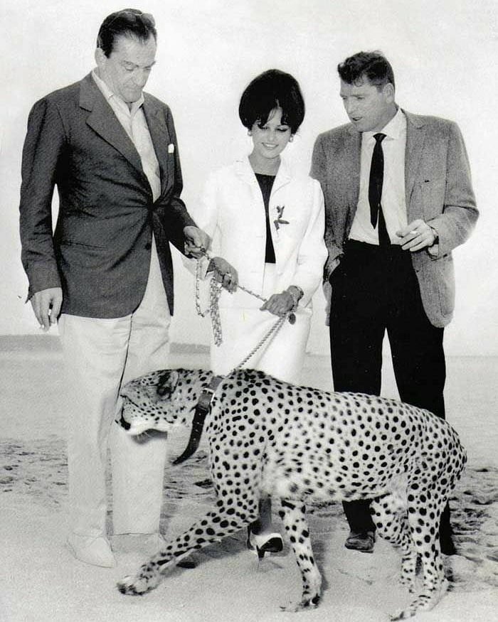 Luchino Visconti, Claudia Cardinale és Burt Lancaster 1963-ban a film bemutatóján 