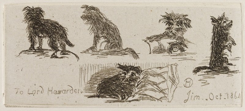 Vázlatok Jimről Sir Henry Cole rajzain 1864-ből - forrás: Victoria and Albert Museum, London
