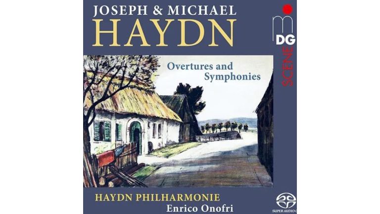 Haydn-lemez