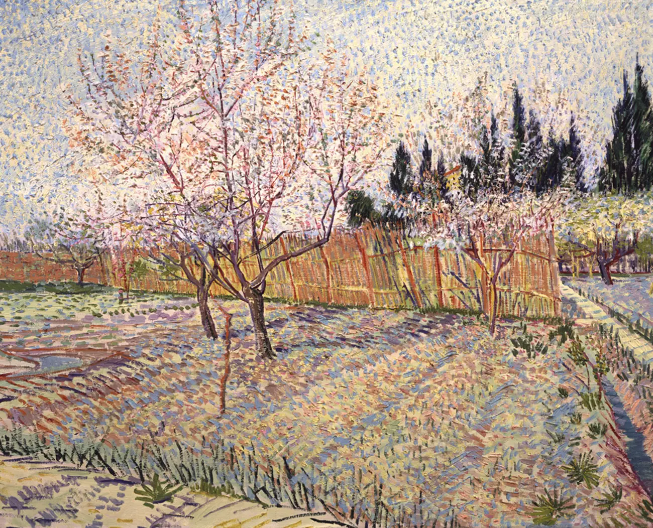 Vincent van Gogh: Virágzó barackfák gyümölcsökkel 