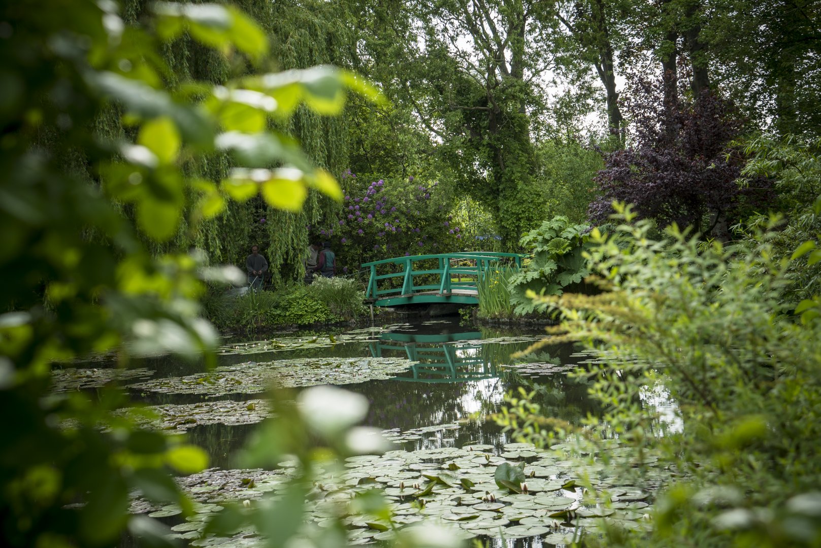 EOS Painting the Modern Garden_Monet's Garden Giverny_01 © EXHIBITION ON SCREEN, David Bickerstaff