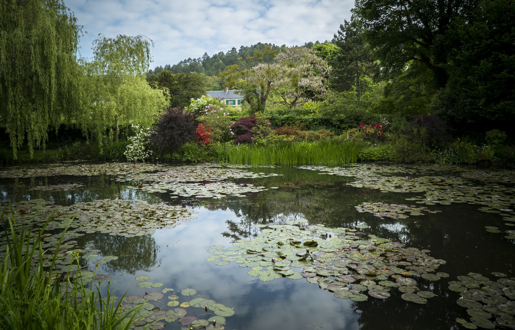 EOS Painting the Modern Garden_Monet's Garden Giverny_02 © EXHIBITION ON SCREEN, David Bickerstaff