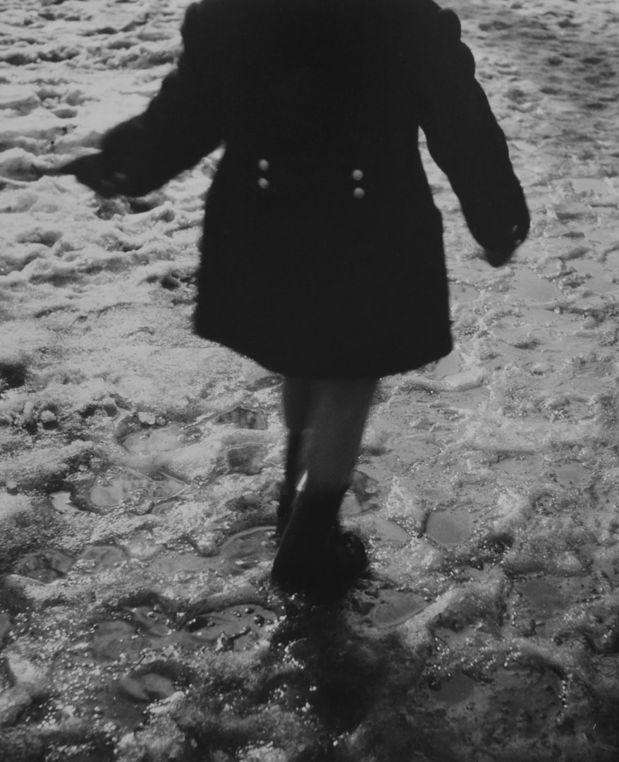 Miloš Dohnány: Joey sétál a jégen, 1937