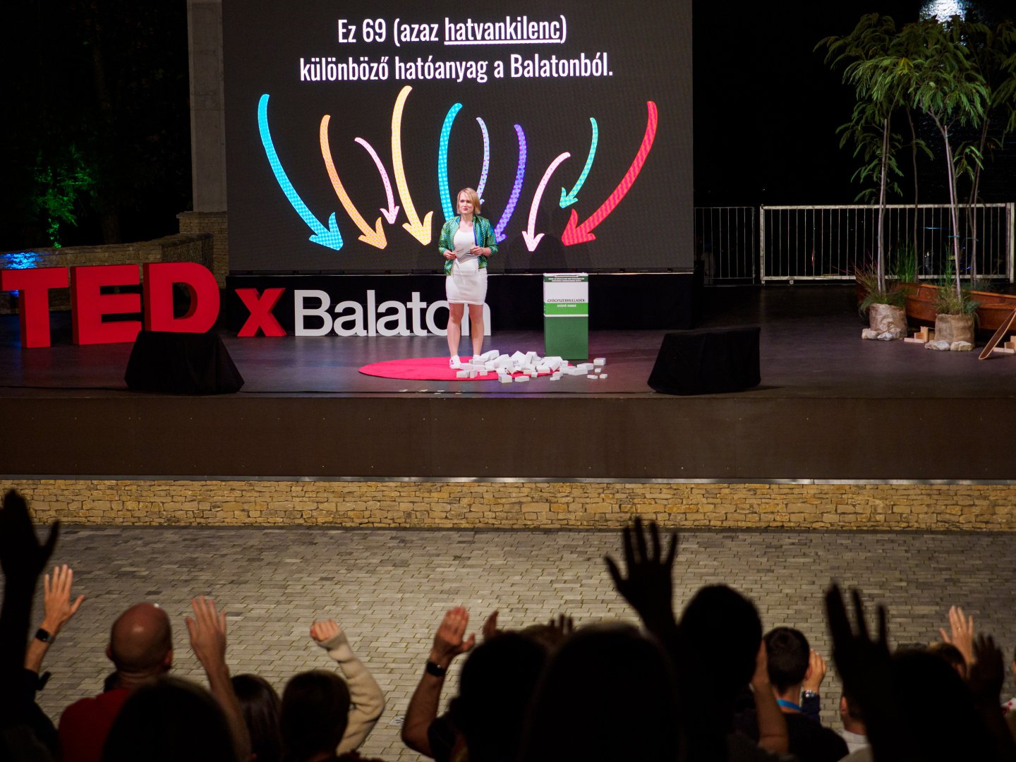 TEDxBalaton 2022-ben
