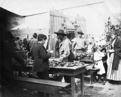 1900, Olaszország, Velence, piac