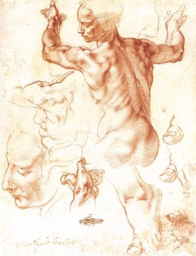 Michelangelo Buonarroti: A Libiai Szibylla (1511) vázlat - forrás: wikipedia