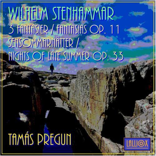 Stenhammar CD 1 211123